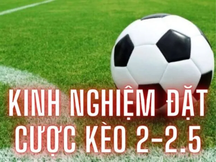Phân Tích Kèo 2.25 Và Cách Tính Thắng Thua Trong Giải Trí Thể Thao